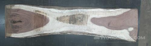 Parota Wood Slab #5SO-2K8-2PO3