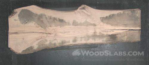 White Oak Wood Slab #JM9-MA1-UZ8B