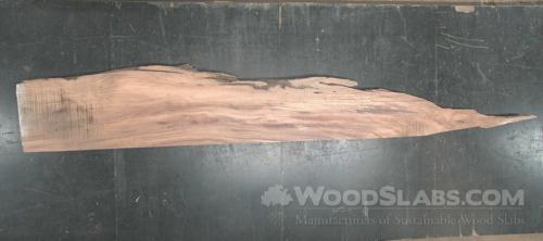 Parota Wood Slab #IAG-FWQ-M6SQ
