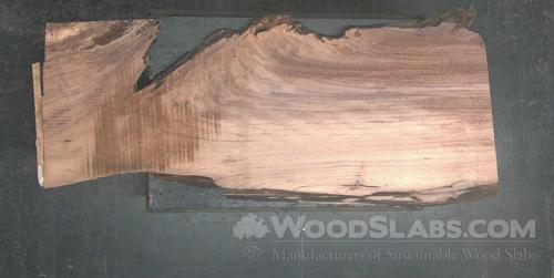 Parota Wood Slab #YAO-LKL-9JP2