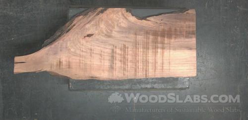 Parota Wood Slab #FEO-BVT-T2CC