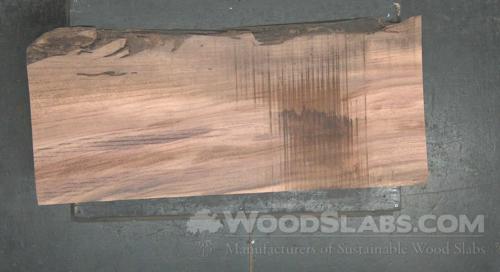 Parota Wood Slab #XJD-ANX-9QRI