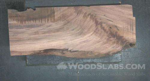 Parota Wood Slab #PMX-BIC-UB1N