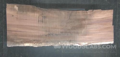 Parota Wood Slab #MLO-9CI-LAAQ