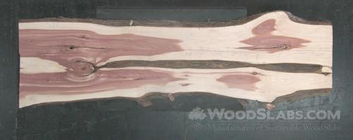 Aromatic Cedar Wood Slab #E46-PZT-WEJM