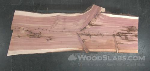 Aromatic Cedar Wood Slab #PJ9-6VY-VCQ6