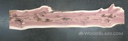 Aromatic Cedar Wood Slab #19N-11O-VX13