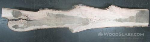 White Oak Wood Slab #61K-IOI-43J9