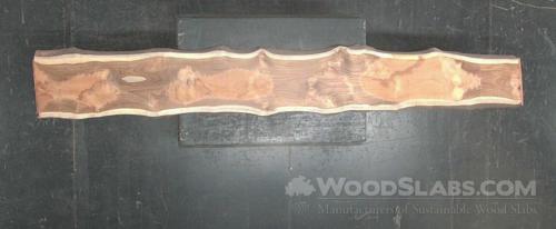 Latin Teak Wood Slab #U1Q-3VK-LOAQ