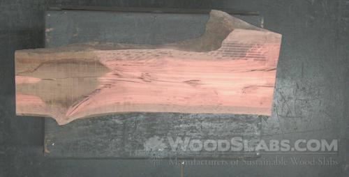 Eucalyptus Wood Slab #A9V-0TE-3SPU