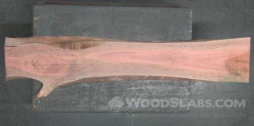 Eucalyptus Wood Slab #4E6-CBF-7BEJ