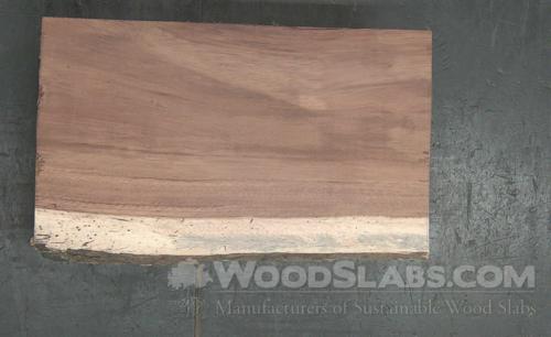 Parota Wood Slab #1F6-TF8-8T4C