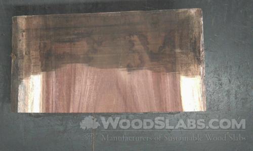Parota Wood Slab #1V6-2QF-94L1