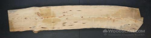 Longleaf Pine Wood Slab #3VJ-B9B-VN0S