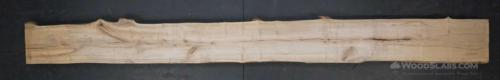 Ambrosia Maple Wood Slab #H2B-QF1-SLKB
