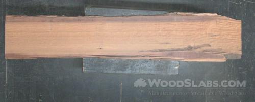 Cumaru Wood Slab #ROH-W8M-EYY1
