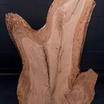Live Oak Wood Slab Feburary's Winner