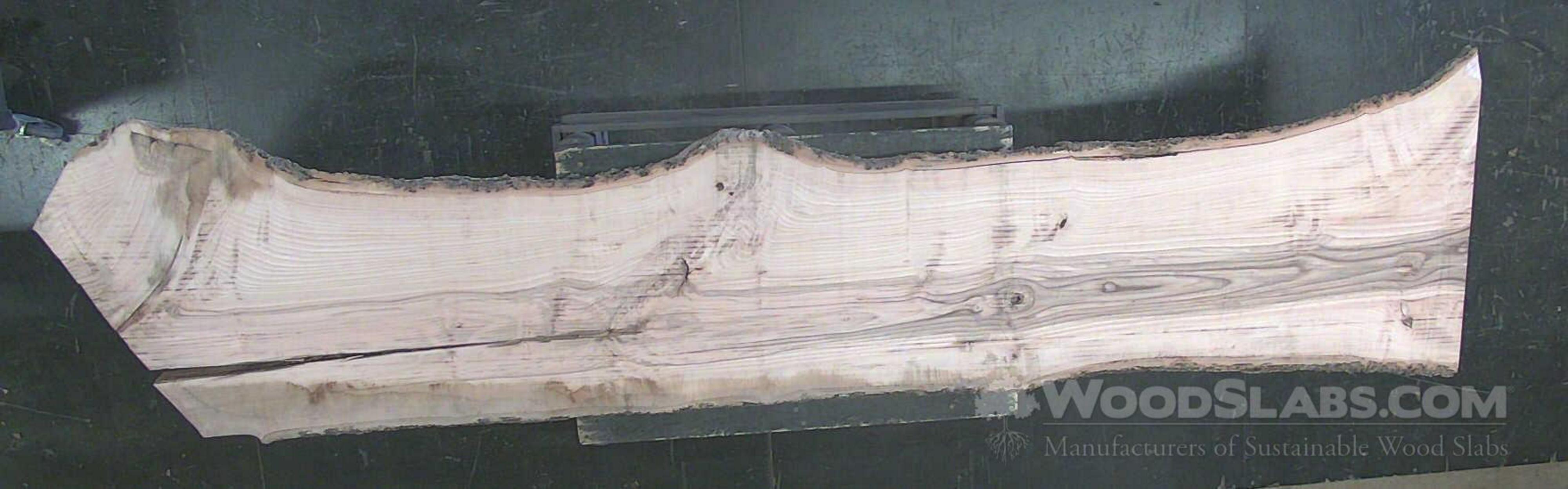 WoodSlabs.com - White Ash Wood Slab #5SI-4A7-XIWU