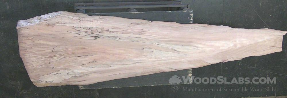 WoodSlabs.com - Sycamore Wood Slab #63I-YQ3-UGUJ