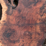 Claro Walnut Wood Slabs