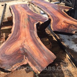 monkey pod wood slabs