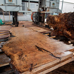 misc rare wood slabs