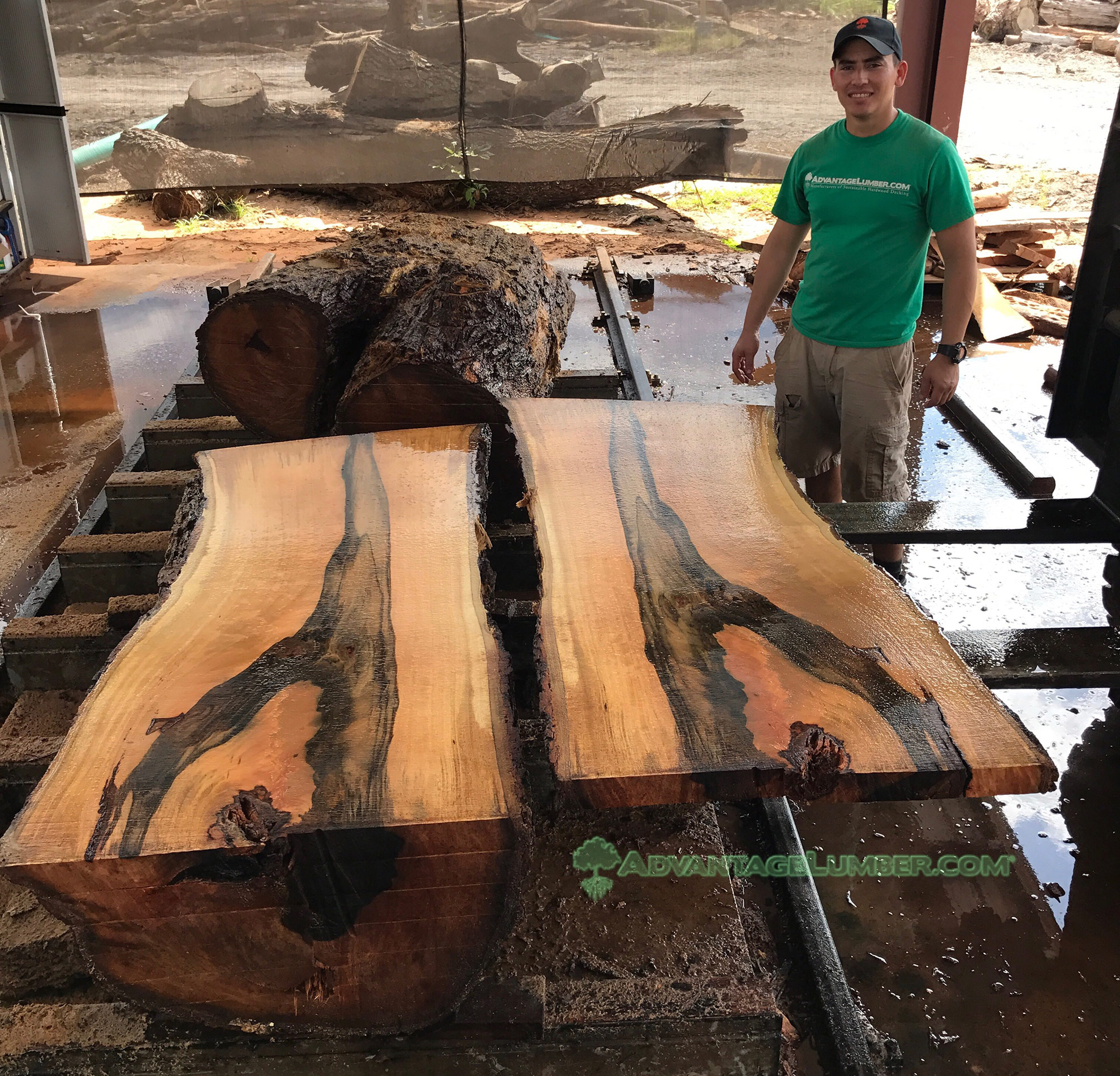 Maple Wood Slabs