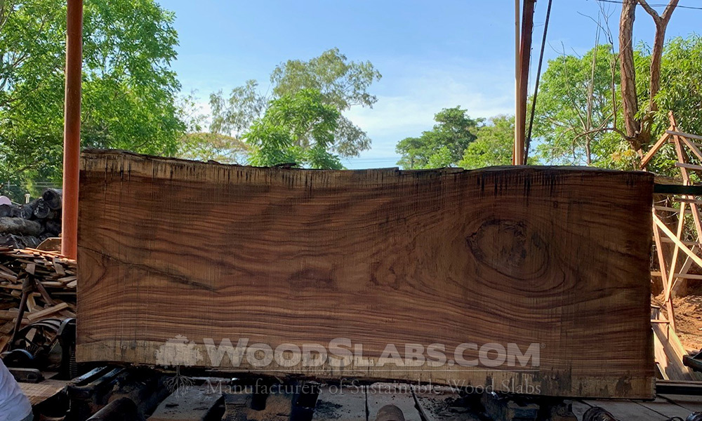 Parota Wood Slabs